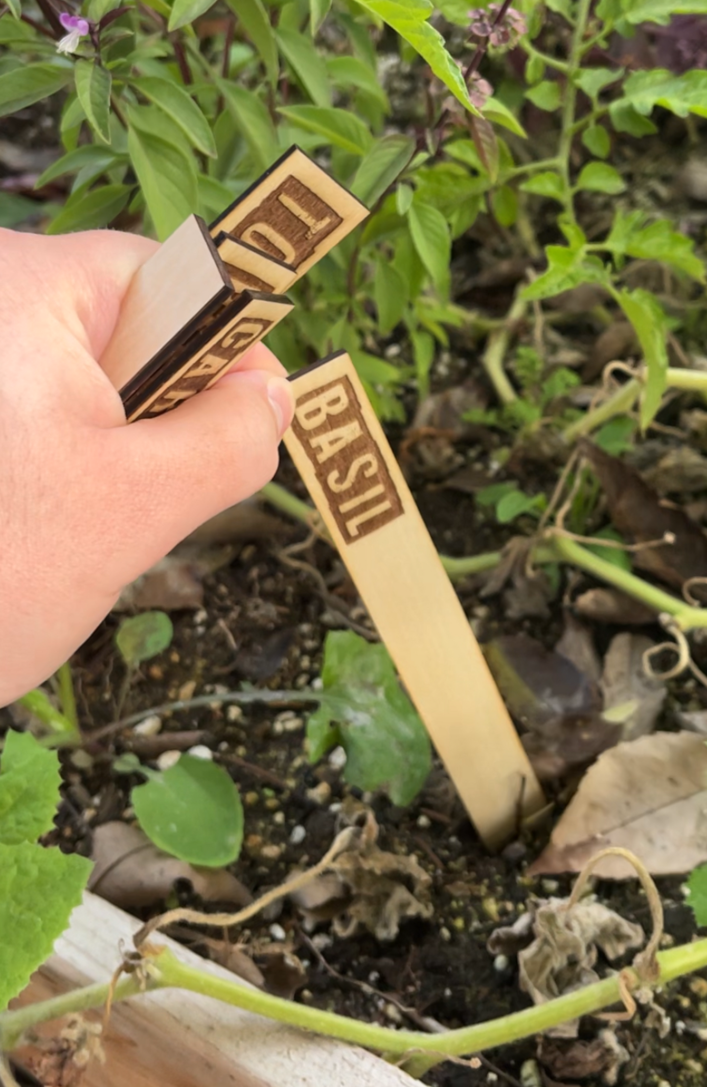 Custom Plant Markers