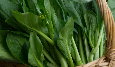 Choy Sum Growing Made Simple: Tips for Fresh Asian Greens Year-Round