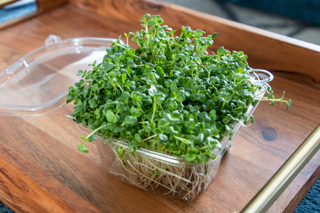 How to Grow Pea Microgreens: A Quick and Nutritious Harvest at Home