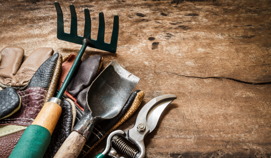 7 Must-Have Tools for Every Beginner Gardener